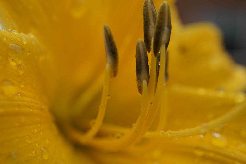 macro_07